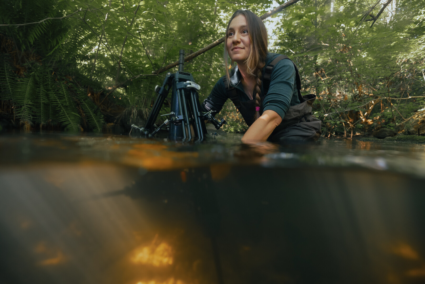 A Special Little Fish